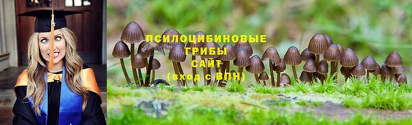 MESCALINE Белокуриха